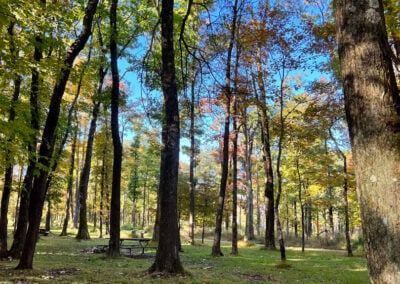 Sand Springs Campground