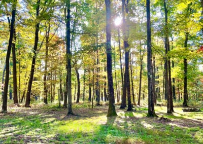 Sand Springs Campground