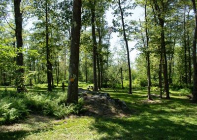 Campground Sites