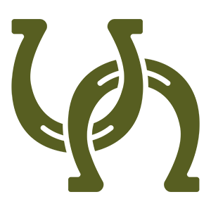 Horseshoes